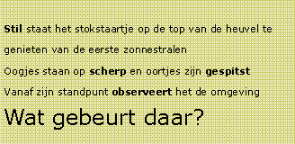 Tekstvak: Stil staat het stokstaartje op de top van de heuvel te genieten van de eerste zonnestralenOogjes staan op scherp en oortjes zijn gespitstVanaf zijn standpunt observeert het de omgevingWat gebeurt daar?  